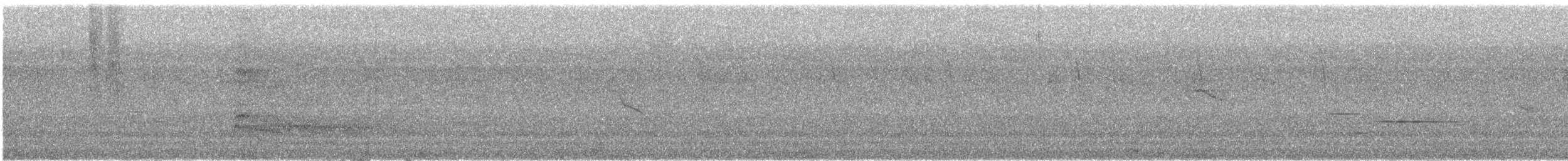 Краснохвостый канюк (costaricensis) - ML346343431