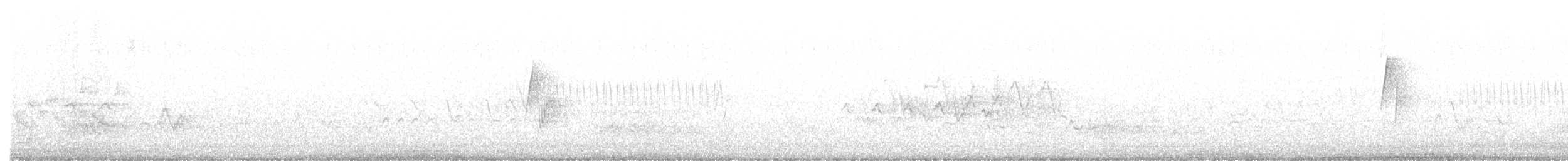Hammond's Flycatcher - ML346345911
