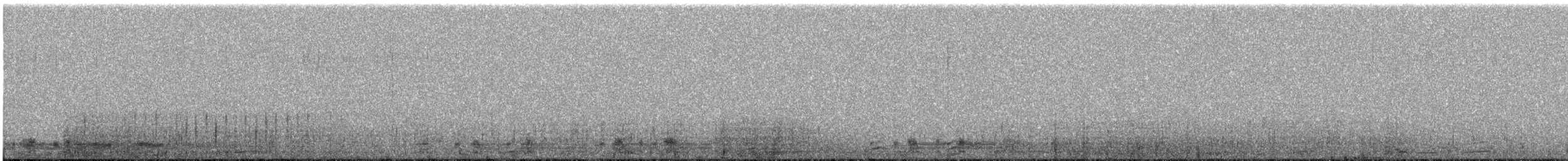 Common Merganser - ML346391071
