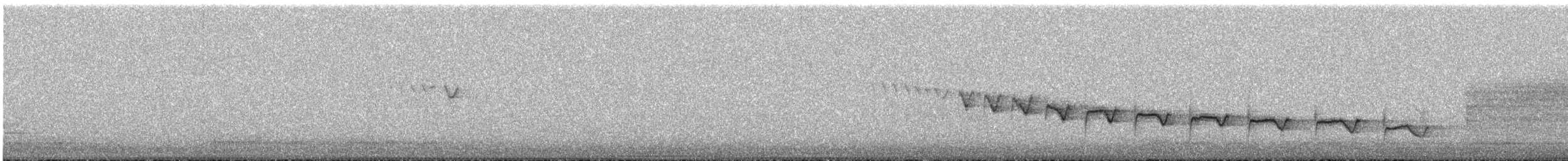 Canyon Wren - ML346397211