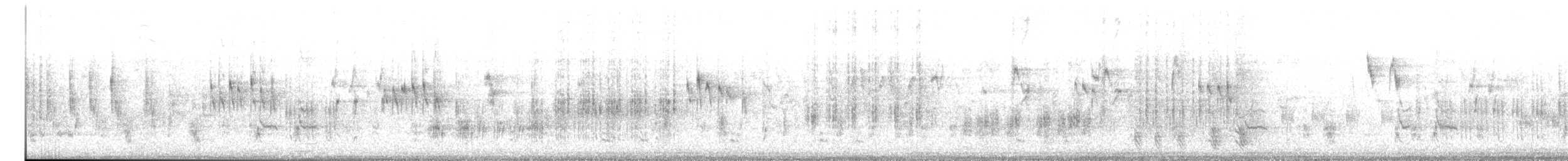 קנית שחורת-גבה - ML346415821