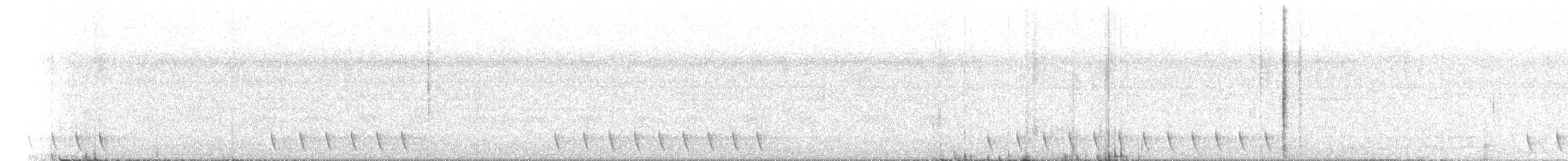 Gray Nightjar - ML346434281