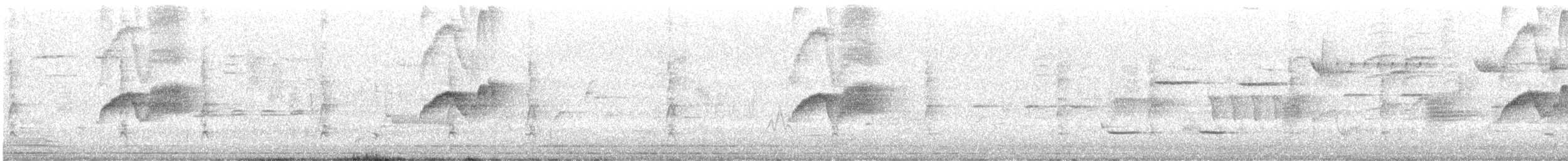 Eastern Phoebe - ML346492311