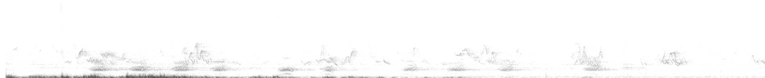 Common Raven - ML346502381