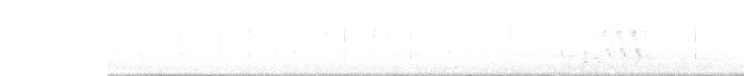 papežík americký - ML346516651