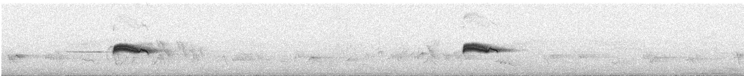 Western Wood-Pewee - ML346550711