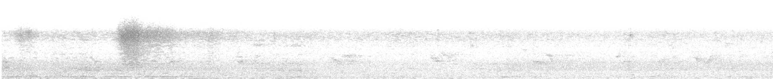 Черногорлая хвойница - ML346562011