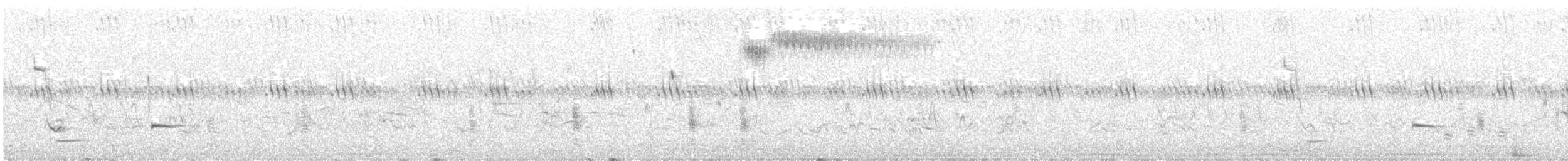 Çekirge Sesli Çayır Serçesi - ML346608001