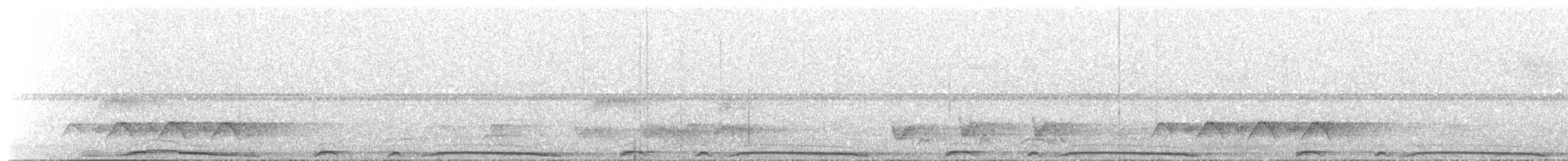 holub neotropický - ML346672391