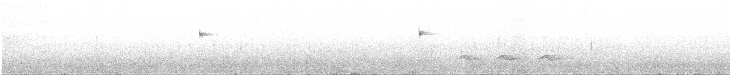 Batı Amerika Sinekkapanı (occidentalis/hellmayri) - ML346672671