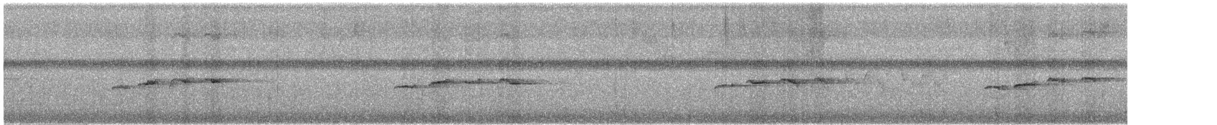 Dindon sauvage - ML346696741