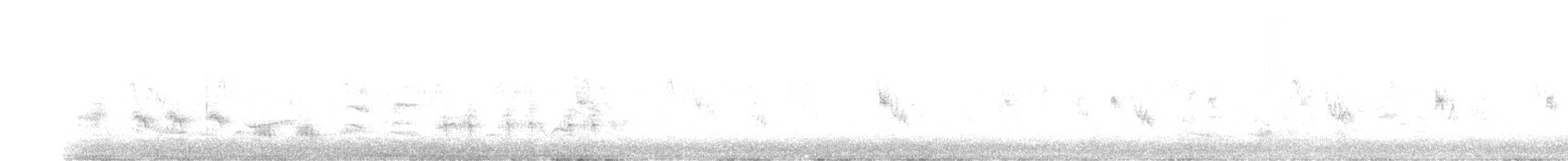 Great Reed Warbler - ML346712431