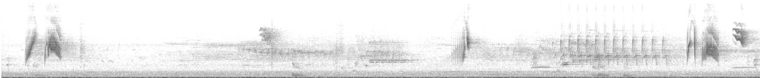 tyranovec vrbový - ML346813441