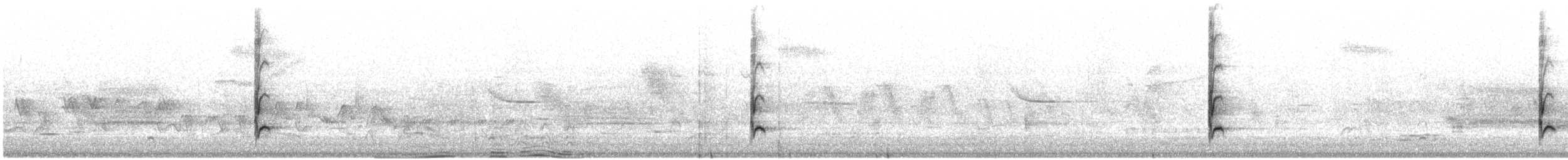 Bullock's Oriole - ML346855661