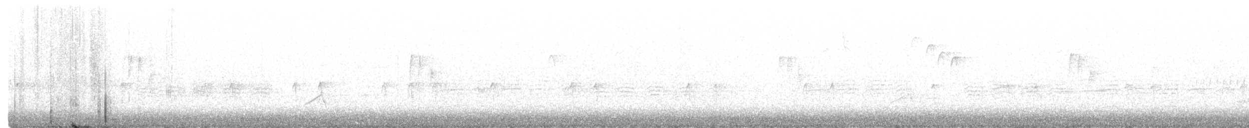 "Шишкар ялиновий (Northeastern, або тип 12)" - ML346876691