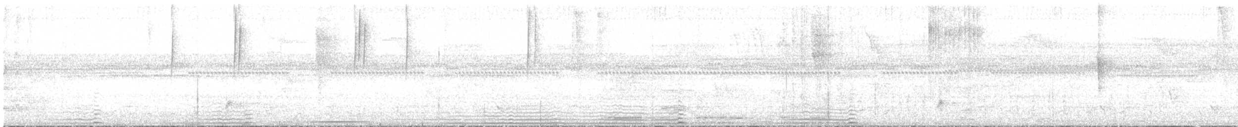 Белошапочный колибри - ML346888471