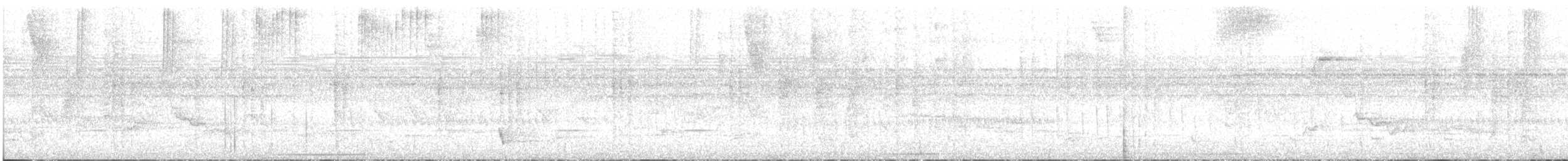 Белошапочный колибри - ML346888511