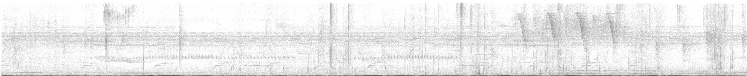 Белошапочный колибри - ML346888661