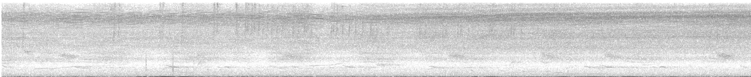 Белошапочный колибри - ML346888981