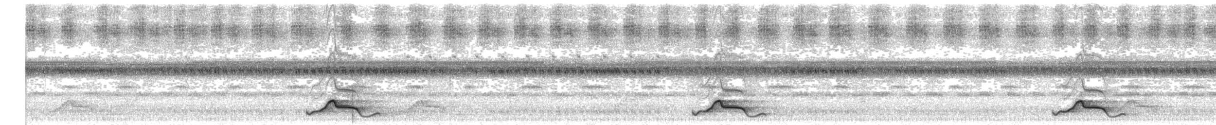 Pauraquenachtschwalbe - ML34689741