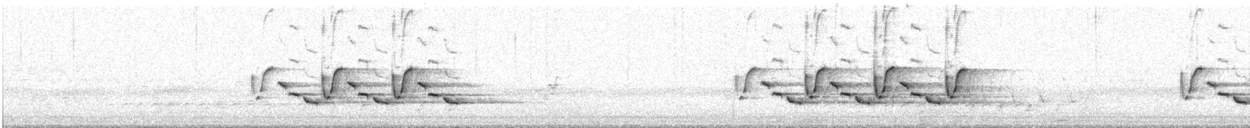 Каролинский крапивник - ML346907711