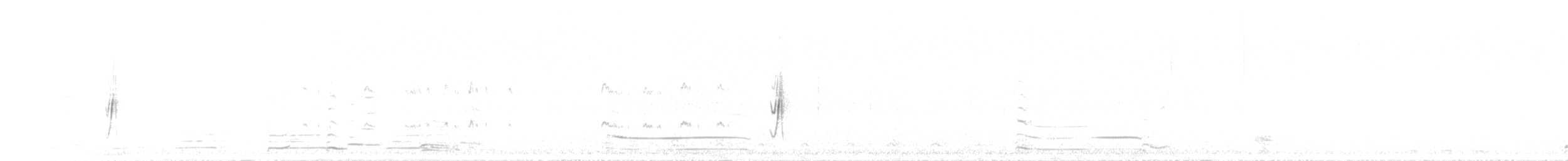 tyranovec vrbový - ML346910471