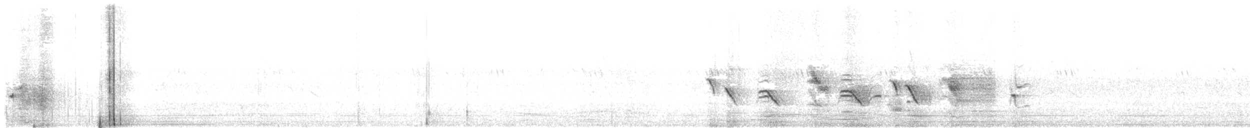 Brahminy Starling - ML34691301