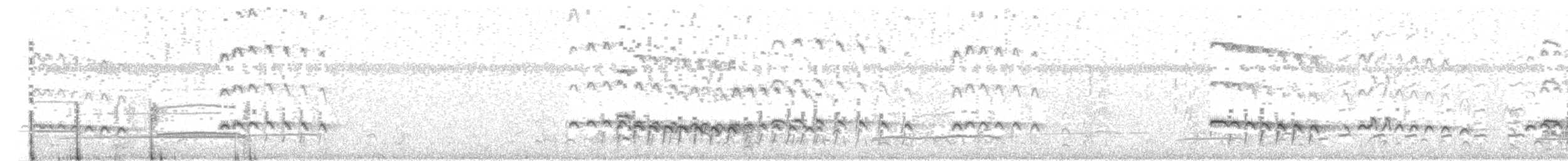 チュウシャクシギ（variegatus） - ML34699621