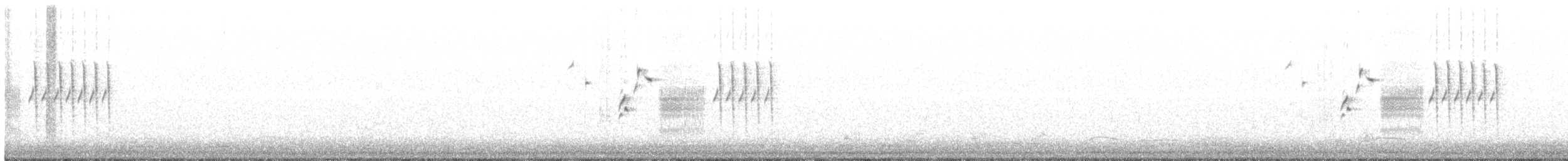 Schwarzkehlammer - ML347000021