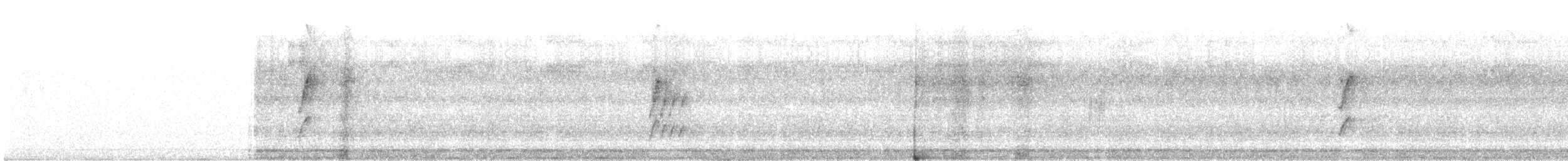 Пестрогрудый тоди-тиранн - ML347071941