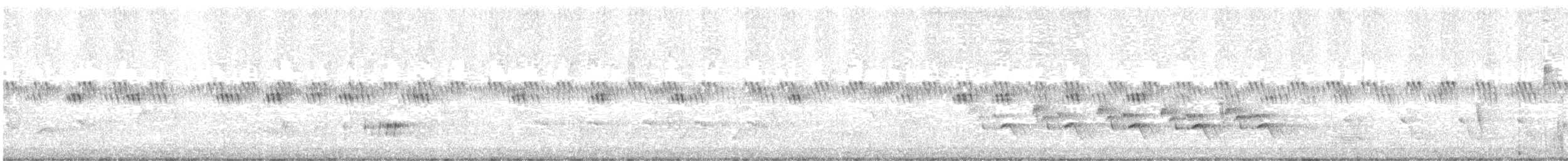 Ring-necked Pheasant - ML347078681