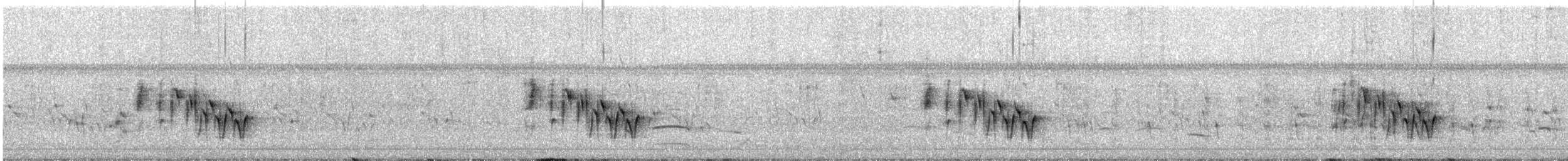 アオハウチワドリ（flaviventris グループ） - ML347111361