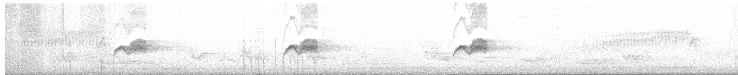 Светлобрюхий фиби - ML347113471