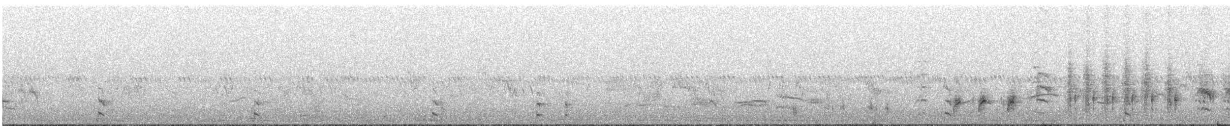 Great Reed Warbler - ML347120111