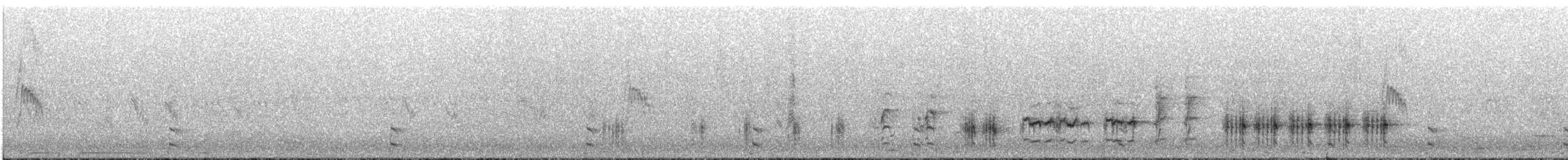 Great Reed Warbler - ML347121081