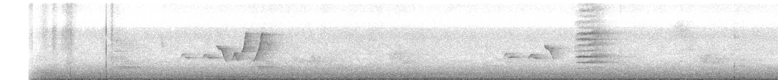 Paruline à capuchon - ML347152681