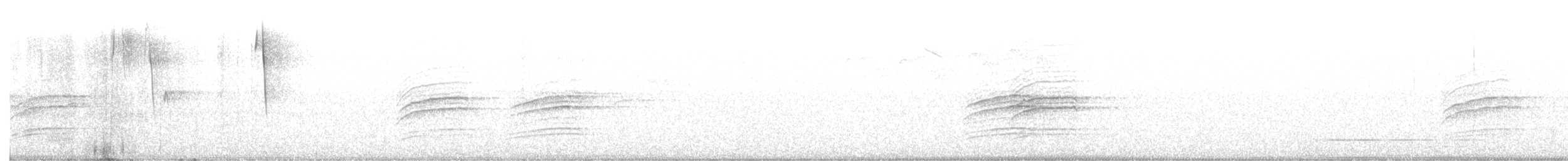 Дрізд-короткодзьоб плямистоволий - ML347183291