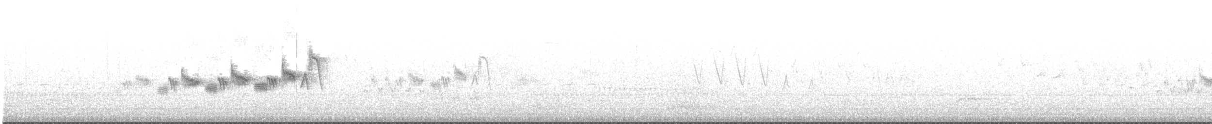 Black-throated Gray Warbler - ML347198041