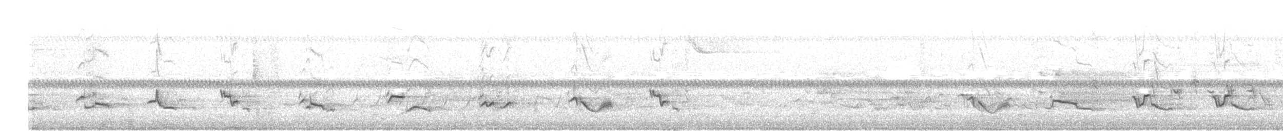 コマツグミ - ML347218721