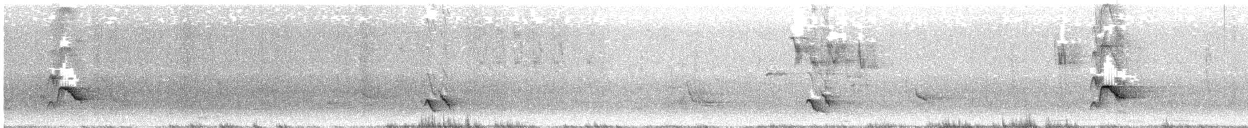 Perlaugen-Spottdrossel - ML347250321