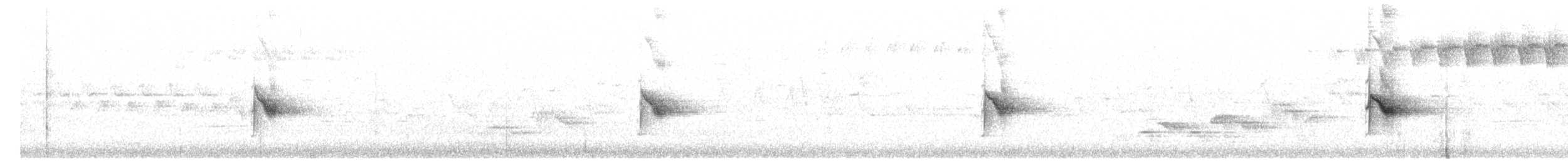 Дрізд-короткодзьоб канадський - ML347291241