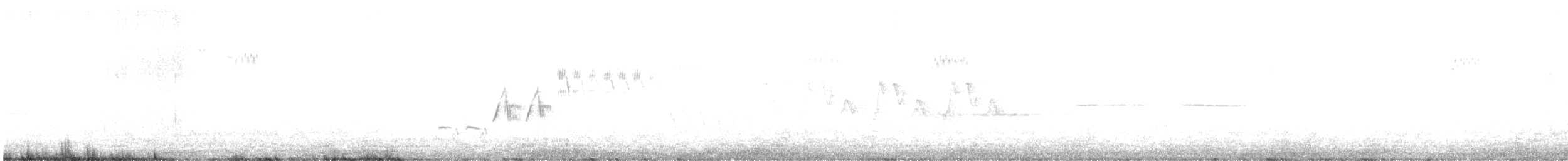 Дрізд-короткодзьоб канадський - ML347301541