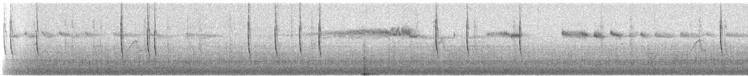 Широкохвостый колибри - ML347321791