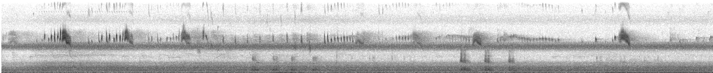 østkongetyrann - ML347322461