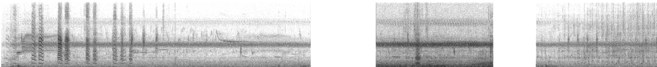 amerikasivhøne - ML347322771