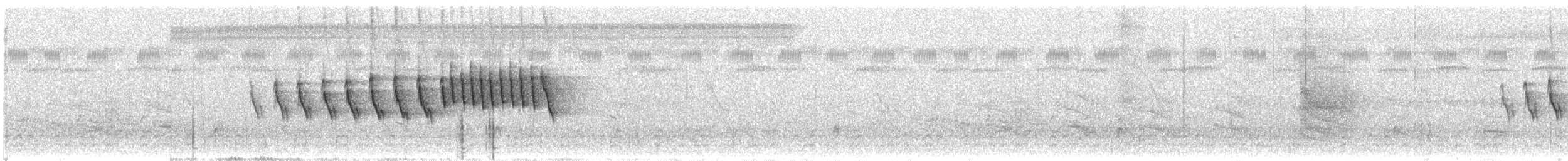 Grace's Warbler - ML347353291