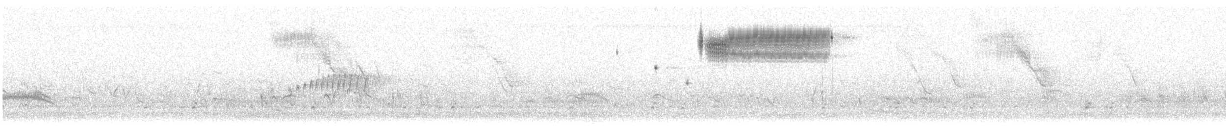 Кузнечиковая овсянка-барсучок - ML347353381