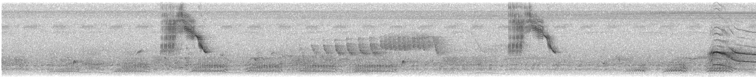 Blue-black Grassquit - ML347354261