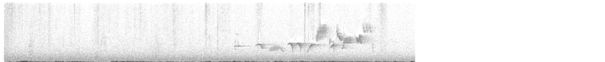 Fox Sparrow (Slate-colored) - ML347361541