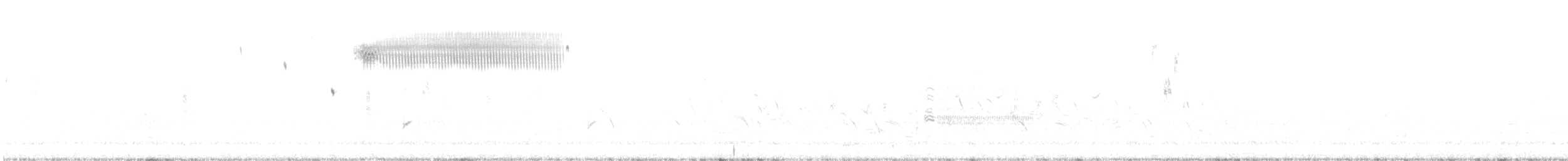 Кузнечиковая овсянка-барсучок - ML347395901